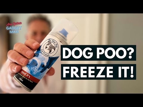 Dog Poo Freeze Spray Review - Does It Work? - Youtube