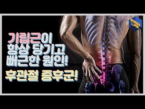 기립근 영어로 – 모른다면 운동에 실패한다! (Click to Find Out More)