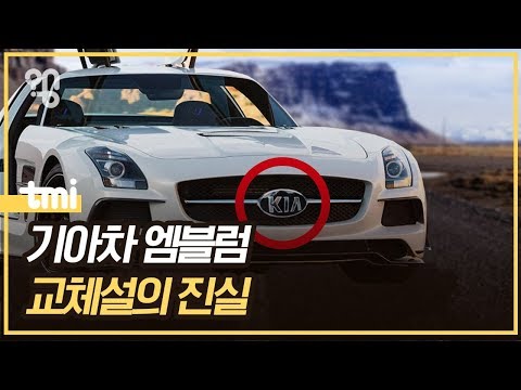 국산차 엠블럼은 왜 인기가 없을까? #취재대행소왱