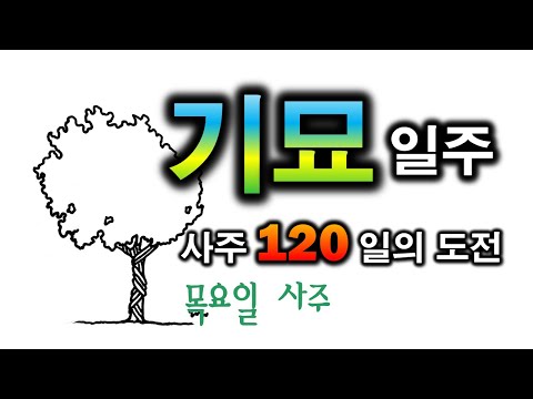 기묘일주 여자 디시: 여기서만 볼 수 있는 놀라운 이야기!