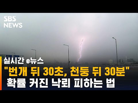 번개 뒤 30초, 천둥 뒤 30분…확률 커진 낙뢰 피하려면 / SBS / 실시간 e뉴스