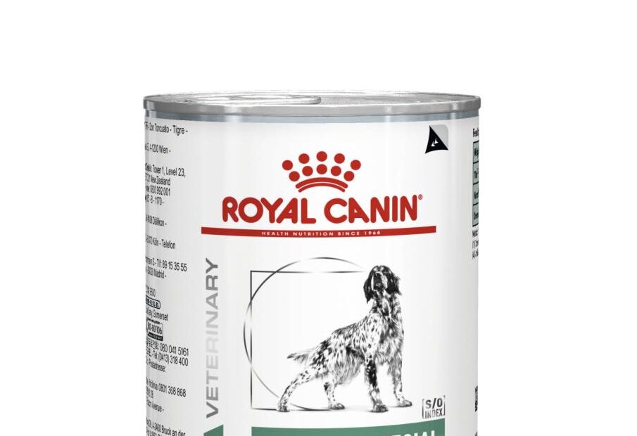 Diabetic Special Low Carbohydrate Loaf Wet | Royal Canin