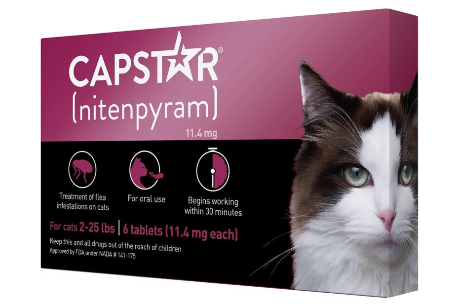 Amazon.Com : Capstar (Nitenpyram) Oral Flea Treatment For Cats, Fast Acting  Tablets Start Killing Fleas In 30 Minutes, Cats 2-25 Lbs, 6 Doses : Pet  Supplies