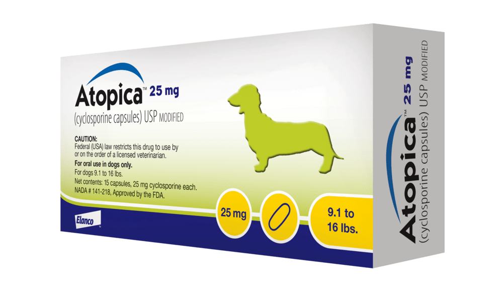 Cyclosporine In Dogs: To Taper Or Not?