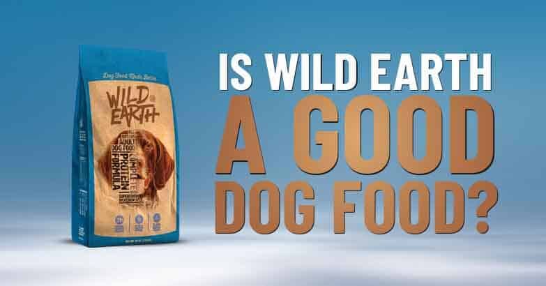 Wild Earth Dog Food Reviews - Dogs Naturally