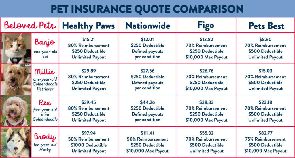 How Does Pet Insurance Work? | Earthborn Holistic Pet Food