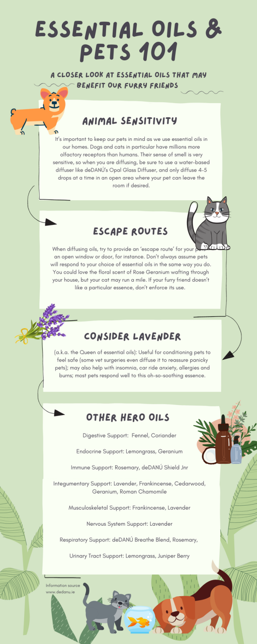 Are Essentials Oils Safe For Dogs, Cats And Other Pets? – Dedanú Health &  Wellness