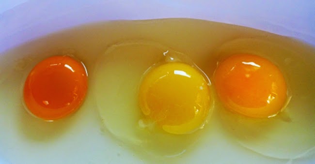 Everything You Need To Know About Egg Yolk Color