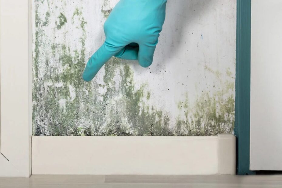 Symptoms Of Mold Exposure: In House And More