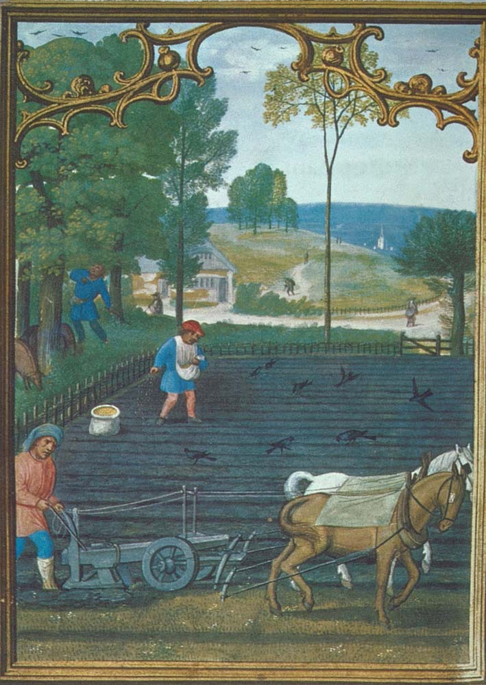 How Animals Were Treated In The Middle Ages: A Glimpse Into The Past