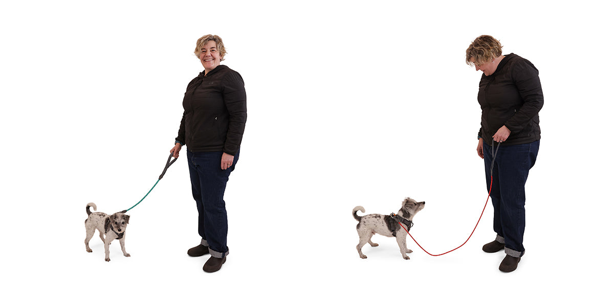 Gear Guide: How To Choose A Dog Leash | Ruffwear