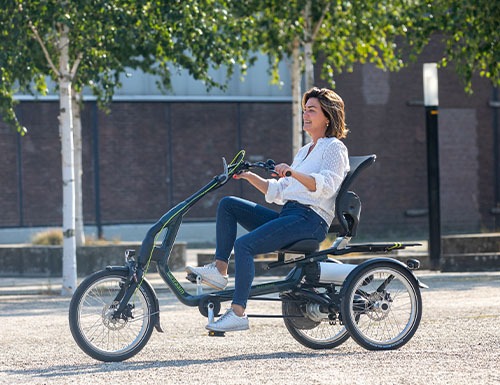 10 Tips For Buying A Tricycle For Children And Adults | Van Raam