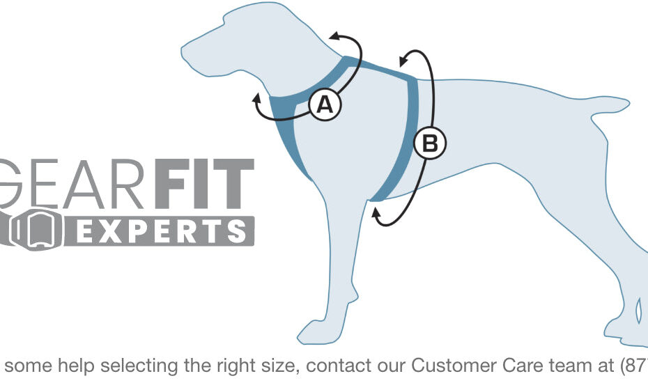 How To Fit A Dog Harness - Kurgo Dog Products