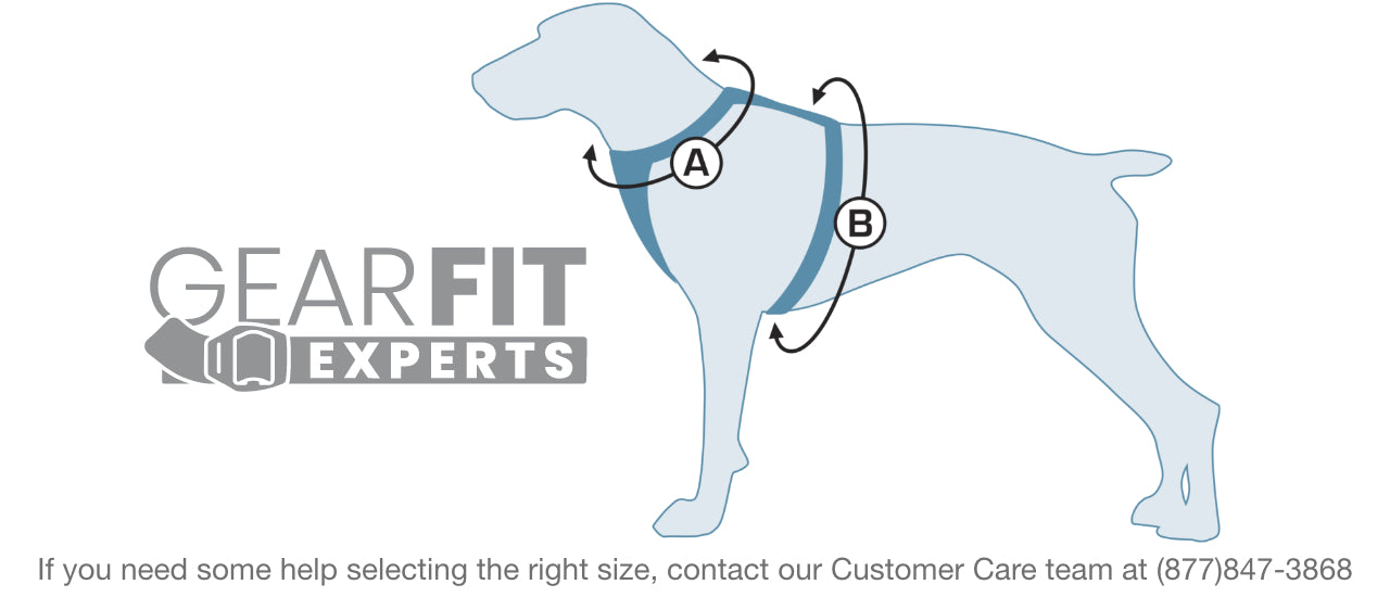 What Size Harness Is Best For My Puppy? Your Guide To A Perfect Fit