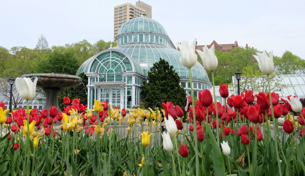 The Brooklyn Botanic Garden Has Announced An August Reopening Date - Secret  Nyc