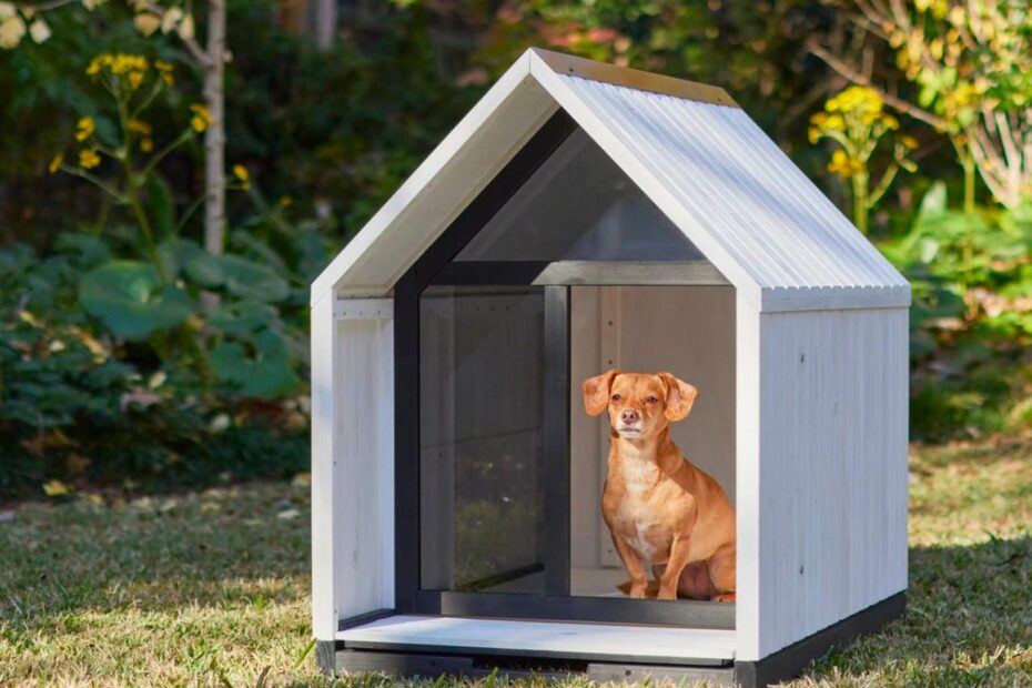 The 12 Best Dog Houses For 2022 – Purewow