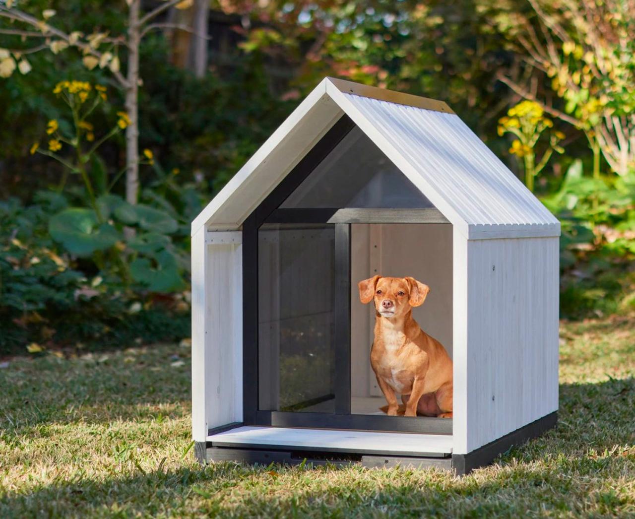 What Is The Warmest Dog House: Ensuring Your Poochs Cozy Retreat