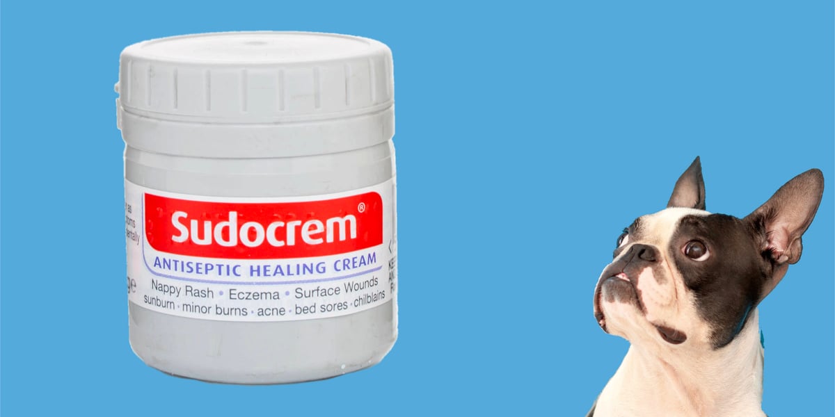 What Cream Can Be Used On Dogs For Skin Care?