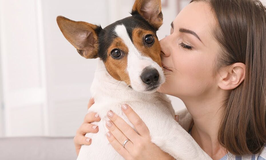 Can Dogs Feel When You Kiss Them? - Wag!