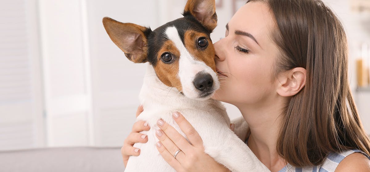 How To Make Your Dog Feel Love: A Guide To Strengthening Your Bond