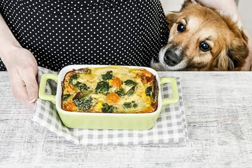 Dogs & Table Food: Why To Avoid Feeding Them Scraps | Hill'S Pet