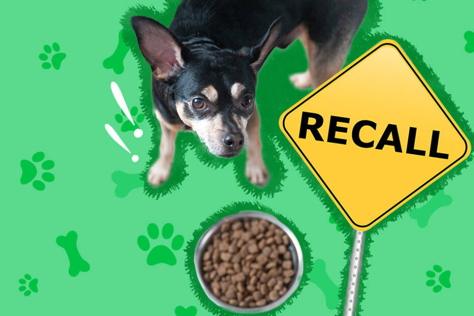 Dog Food Recall: Every Brand That'S Been Recalled From 2021 To 2023 -  Dodowell - The Dodo