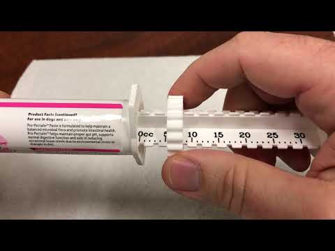 How To Use The Pro-Pectalin Dial A Dose Syringe - Youtube