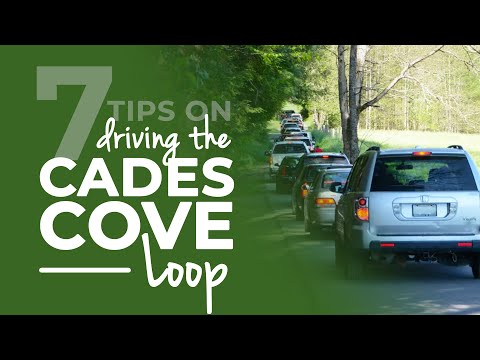 Cades Cove Loop: 7 tips including how long it takes