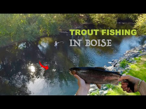 How Long Can You Fly Fish In Boise: A Guide To Seasonal Opportunities