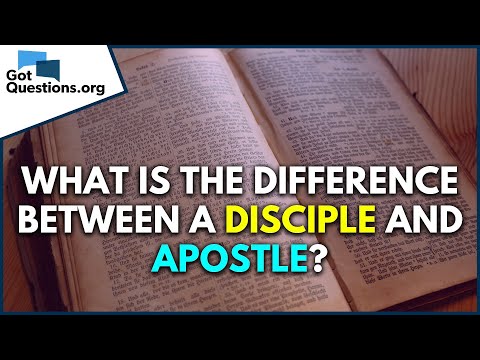 What Is The Difference Between A Disciple And Apostle? | Gotquestions.Org