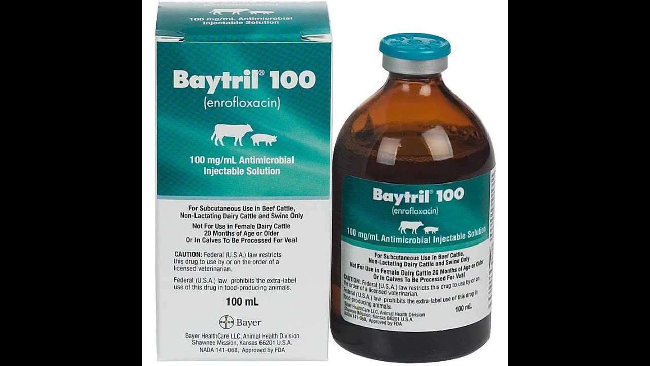 Baytril 100 Enroflaxin Injectable - Youtube