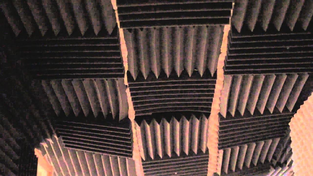 How To Soundproof A Wall From A Barking Dog : Audio & Sound - Youtube