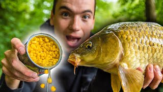 What Weight Should I Use For Carp Fishing: A Comprehensive Guide