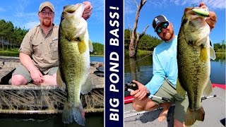 What Do You Feed Bass In A Pond: Expert Tips For Healthy Fish!