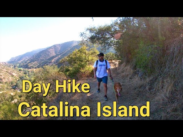 Catalina Island I Day Hike I Hermit Gulch Trail - Youtube