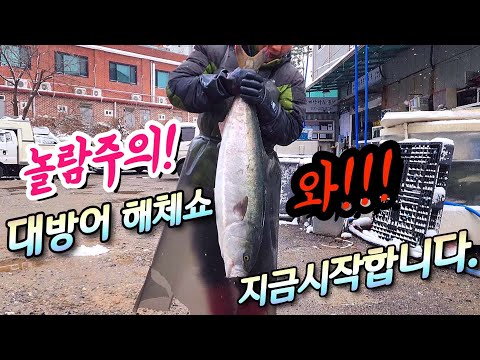 👉대방어의 계절이 돌아왔다. 바로잡아 포장해주는 과정과 시세 맛리뷰까지~생생정보!!!