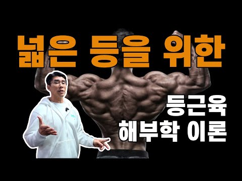 반드시 알고 운동해야하는 등근육 상식!! ㅡ김명섭과 함께 하는 쉽고 재미있는 등해부학이론(요통이오는 이유)