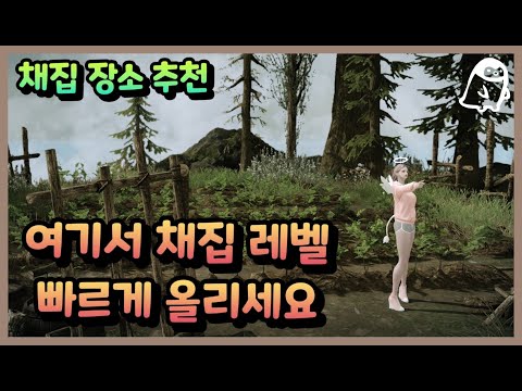 [로스트아크] 여기서 채집 레벨 빠르게 올리세요ㅣ채집 장소 추천